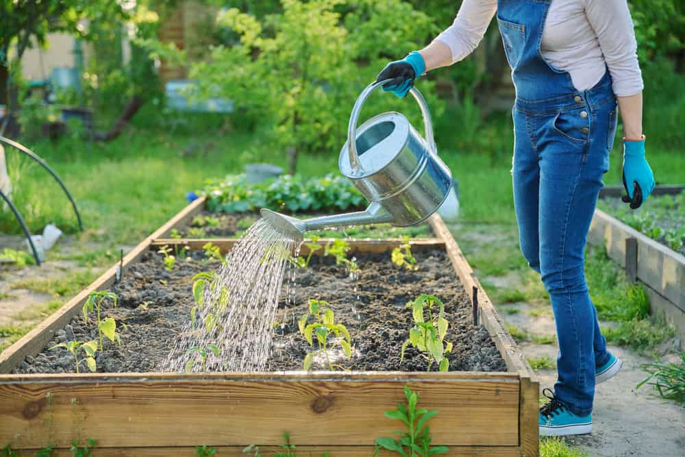 Space-Saving-vegetable-gardens-for-small-yards